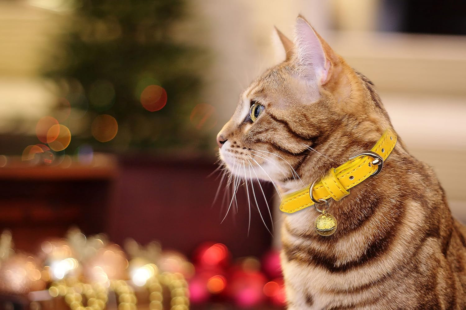 Vibrant 3 Pack Leather Cat Collars with Golden Bells – Stylish Safety for Your Feline Friends in Orange, Yellow, and Mint Green
