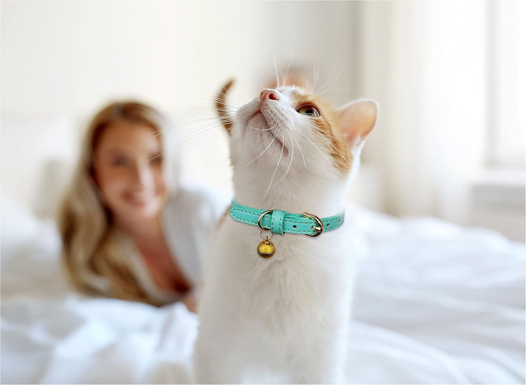 Vibrant 3 Pack Leather Cat Collars with Golden Bells – Stylish Safety for Your Feline Friends in Orange, Yellow, and Mint Green